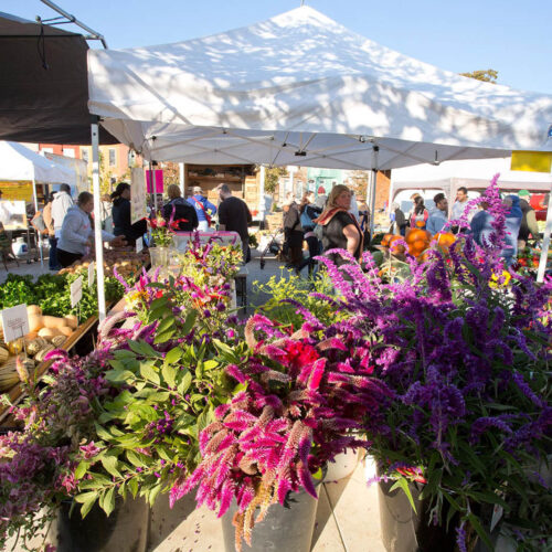Flowers outside at the 32nd Street Farmers Market in Baltimore.