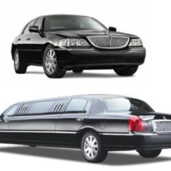 Daisy Executive Limo LLC