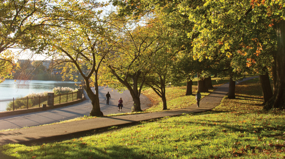 People walking in Druid Hill Park.