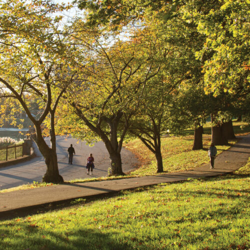 People walking in Druid Hill Park.