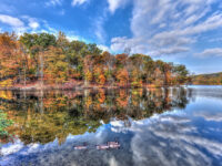 Department of Recreation and Parks