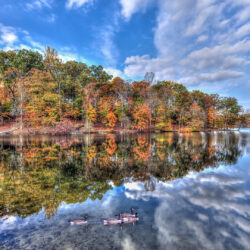 Department of Recreation and Parks