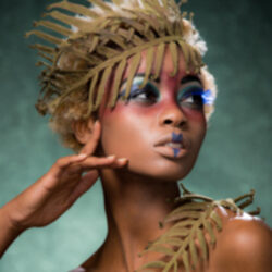 Glenwood Jackson Photography