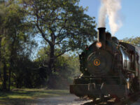 Greater Baltimore History Alliance