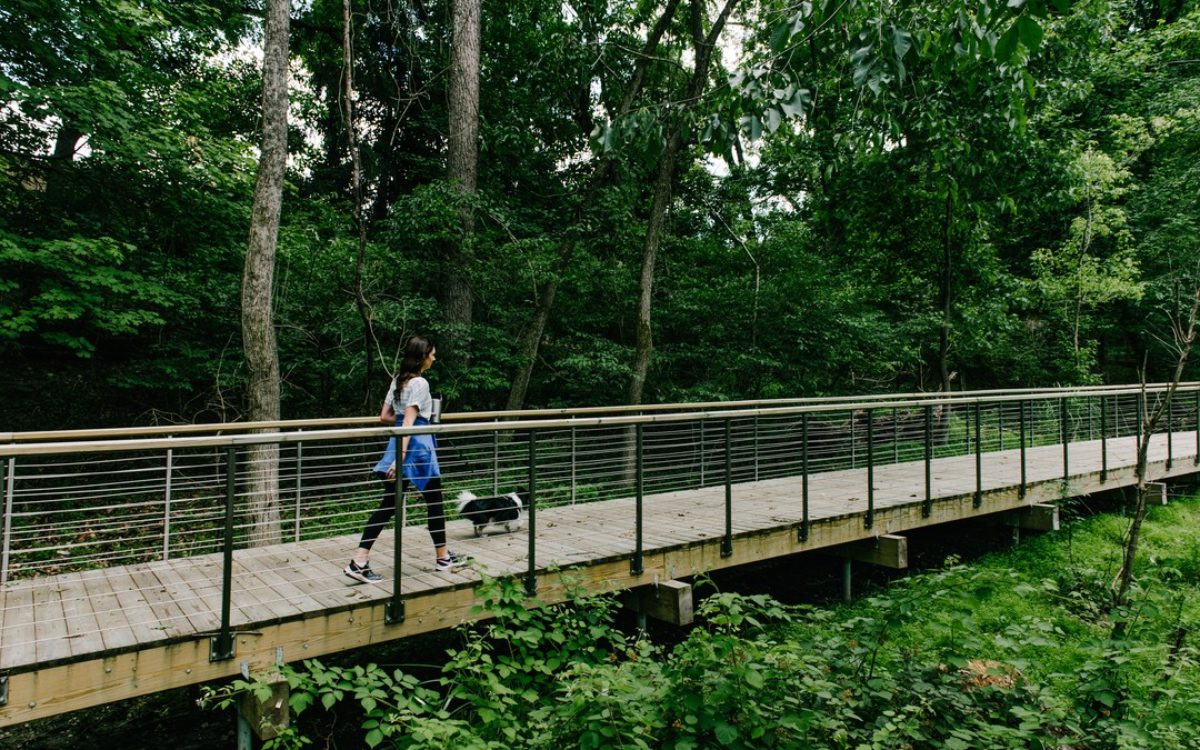 Woman walks her dog along the Jones Fall Trail.