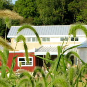 Irvine Nature Center