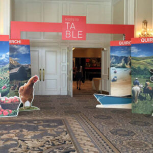 Vista Convention Services