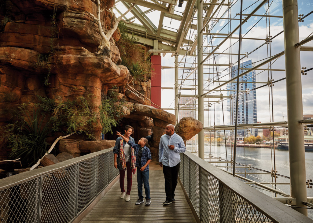 A family visits the National Aquarium in Baltimore.