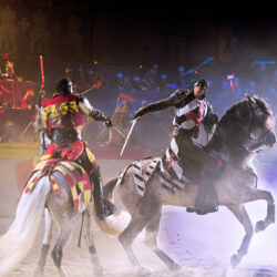 Medieval Times Dinner & Tournament