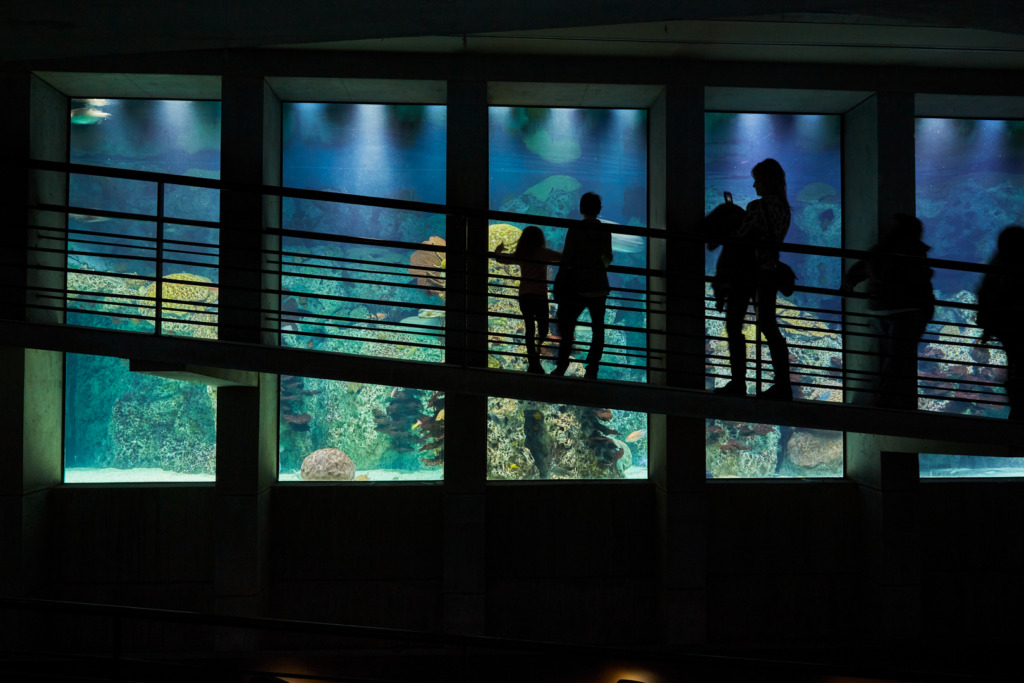 The National Aquarium