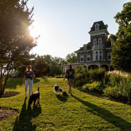 A couple walks a dog outside Cylburn Arboretum