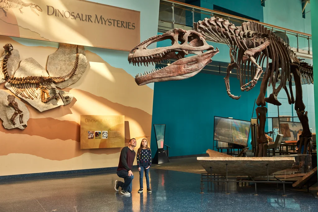parent and child looking at dinosaur skeleton