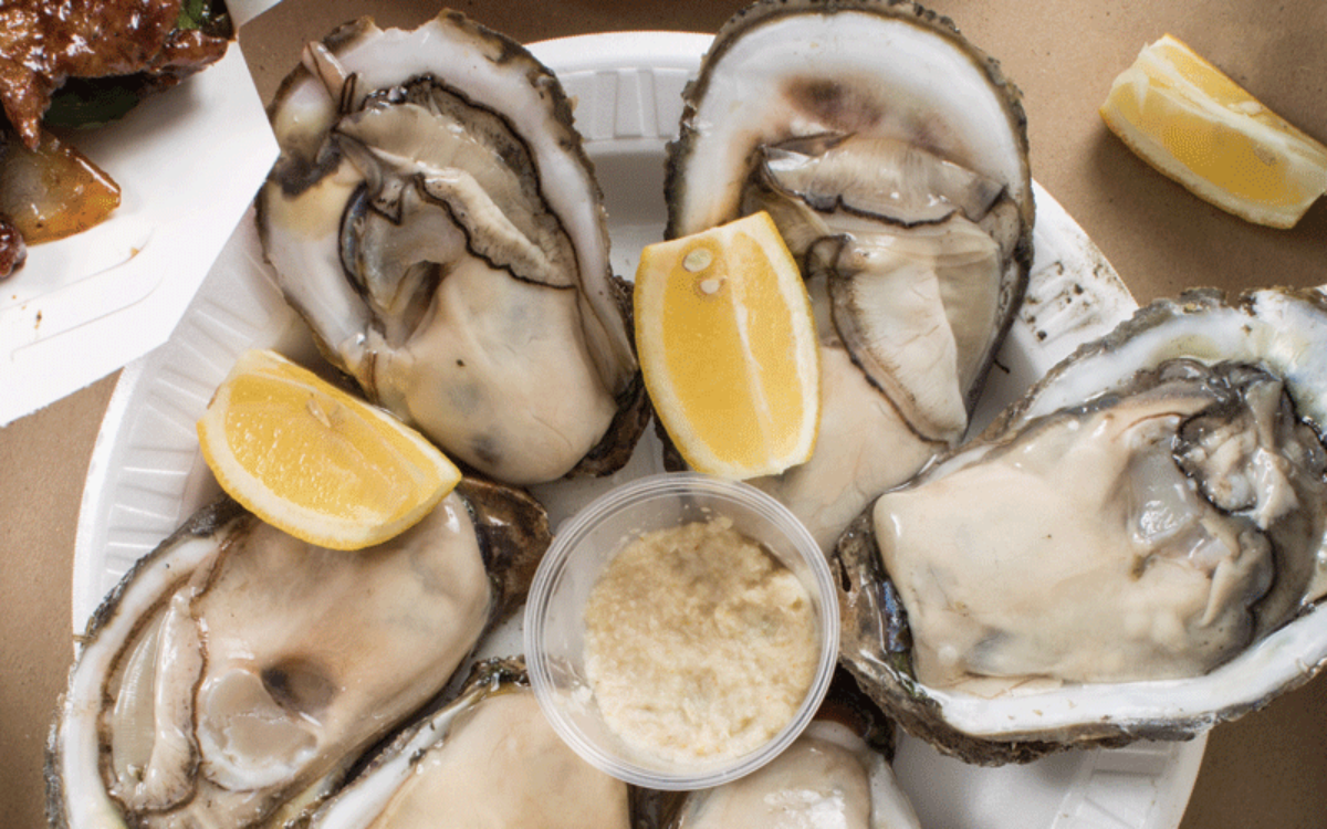 Plate of oysters at Nick's Fish House Square.